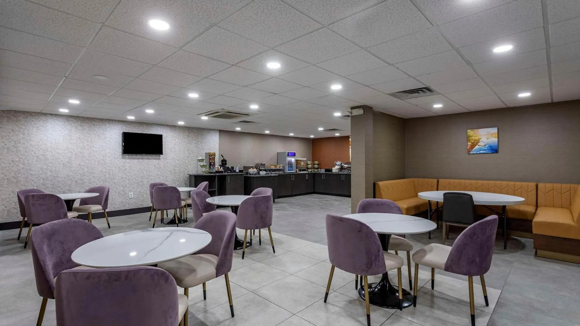 Hotel Comfort Inn & Suites Nashville Downtown - Stadium